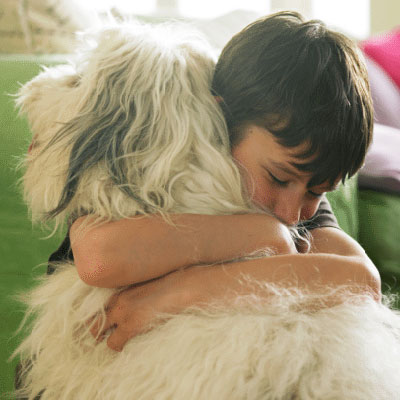 Responsible Pet Ownership For Kids